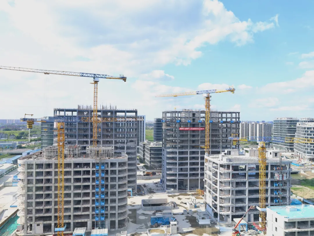 同心同向 造炬成阳 | bv伟德国际1946股份2024年第三季度动态速览